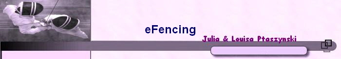 eFencing